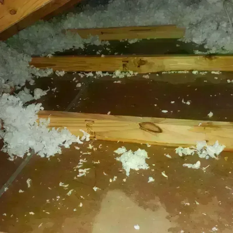 Attic Water Damage in Paoli, IN