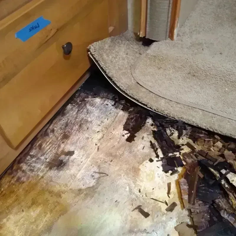 Best Wood Floor Water Damage Service in Paoli, IN